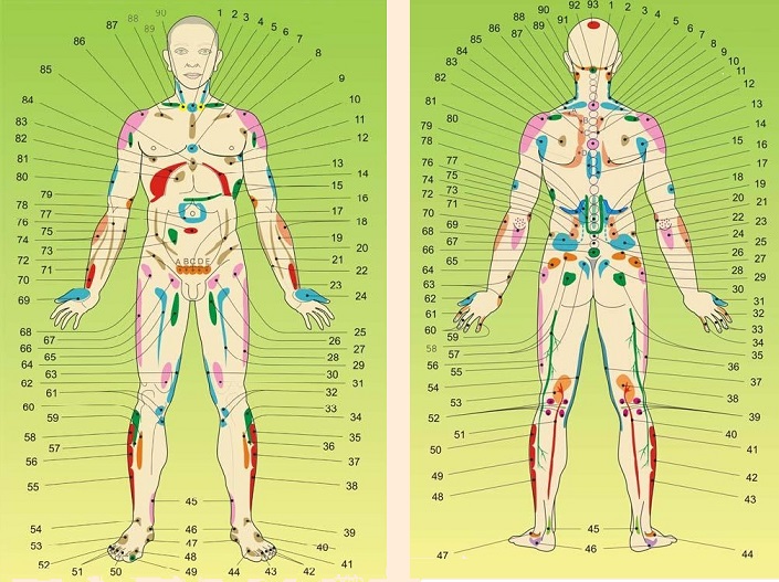 Зоны Захарьина-Геда | "Энергия Жизни" Казань